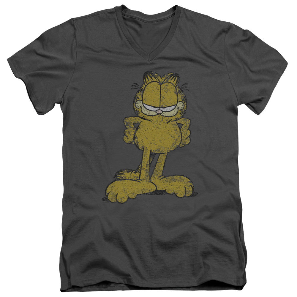 GARFIELD/BIG OL CAT