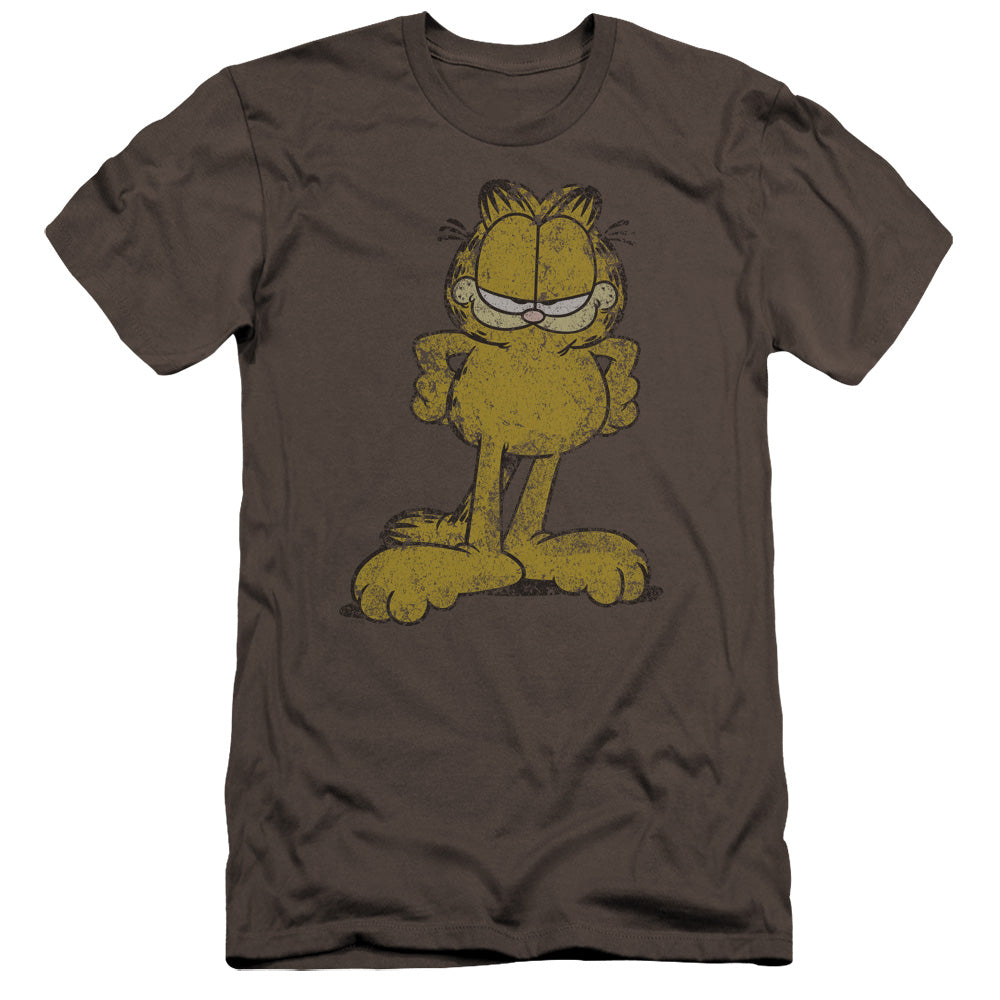 GARFIELD/BIG OL CAT