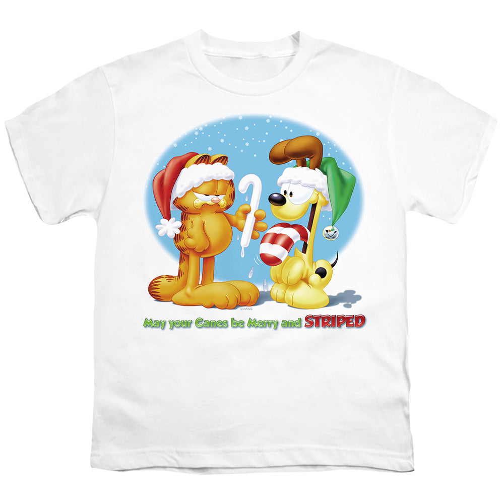 GARFIELD/MERRY AND STRIPED