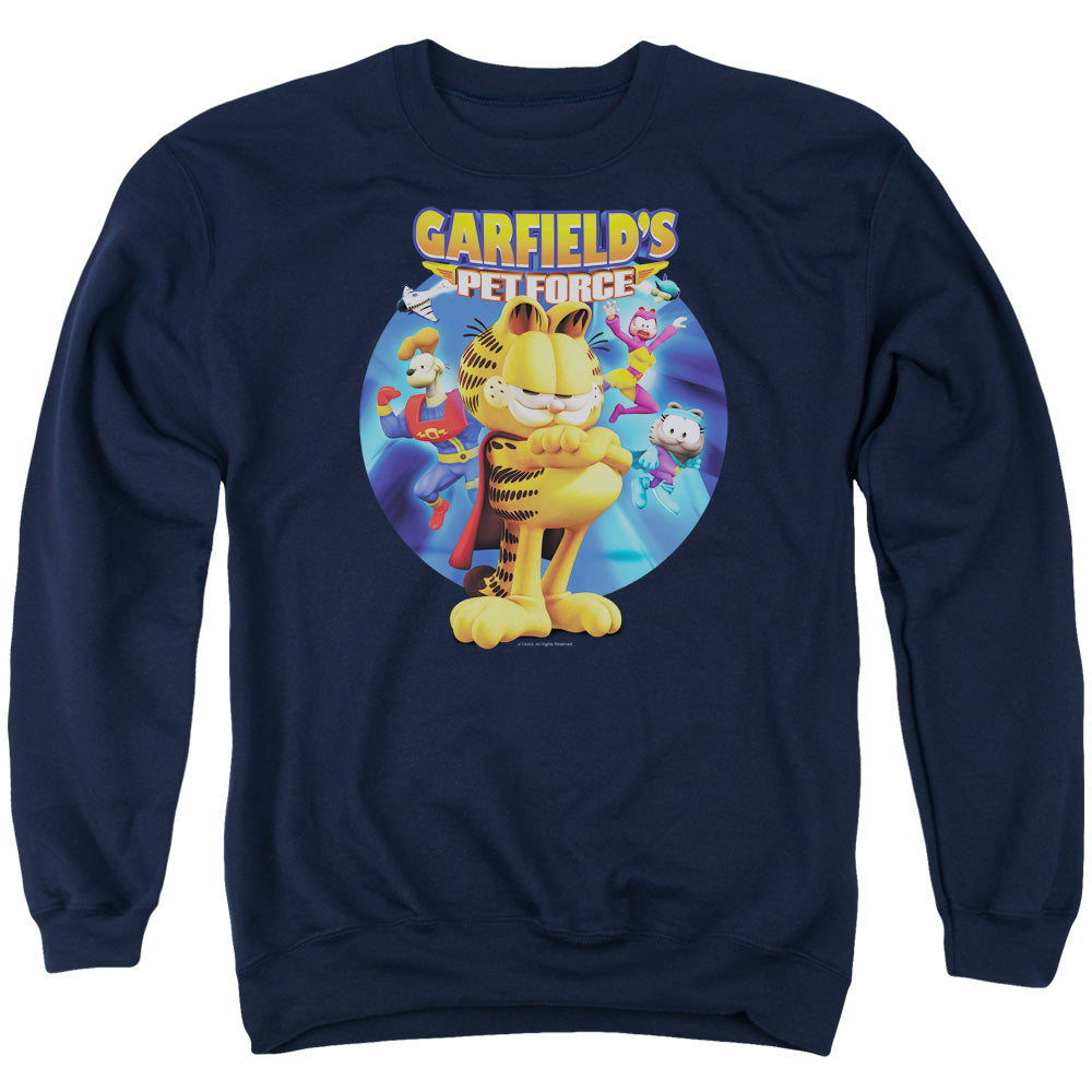 GARFIELD/DVD ART