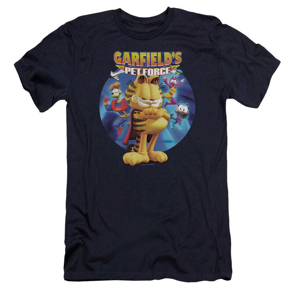 GARFIELD/DVD ART