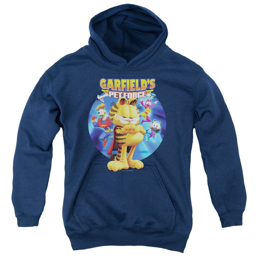 GARFIELD/DVD ART