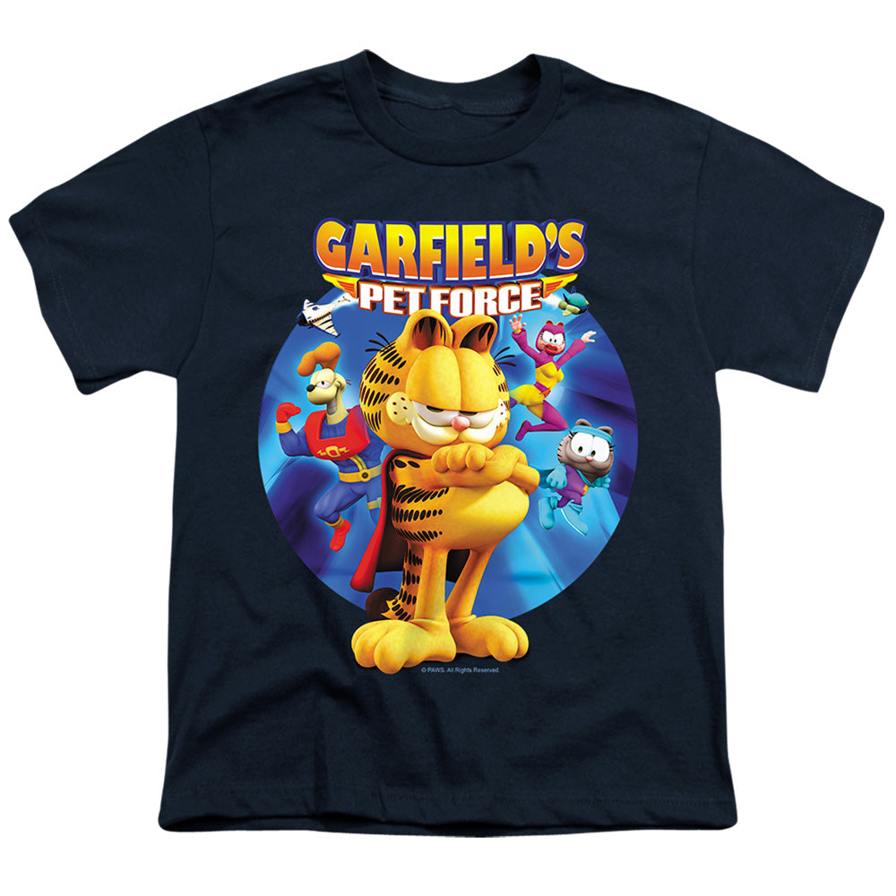 GARFIELD/DVD ART