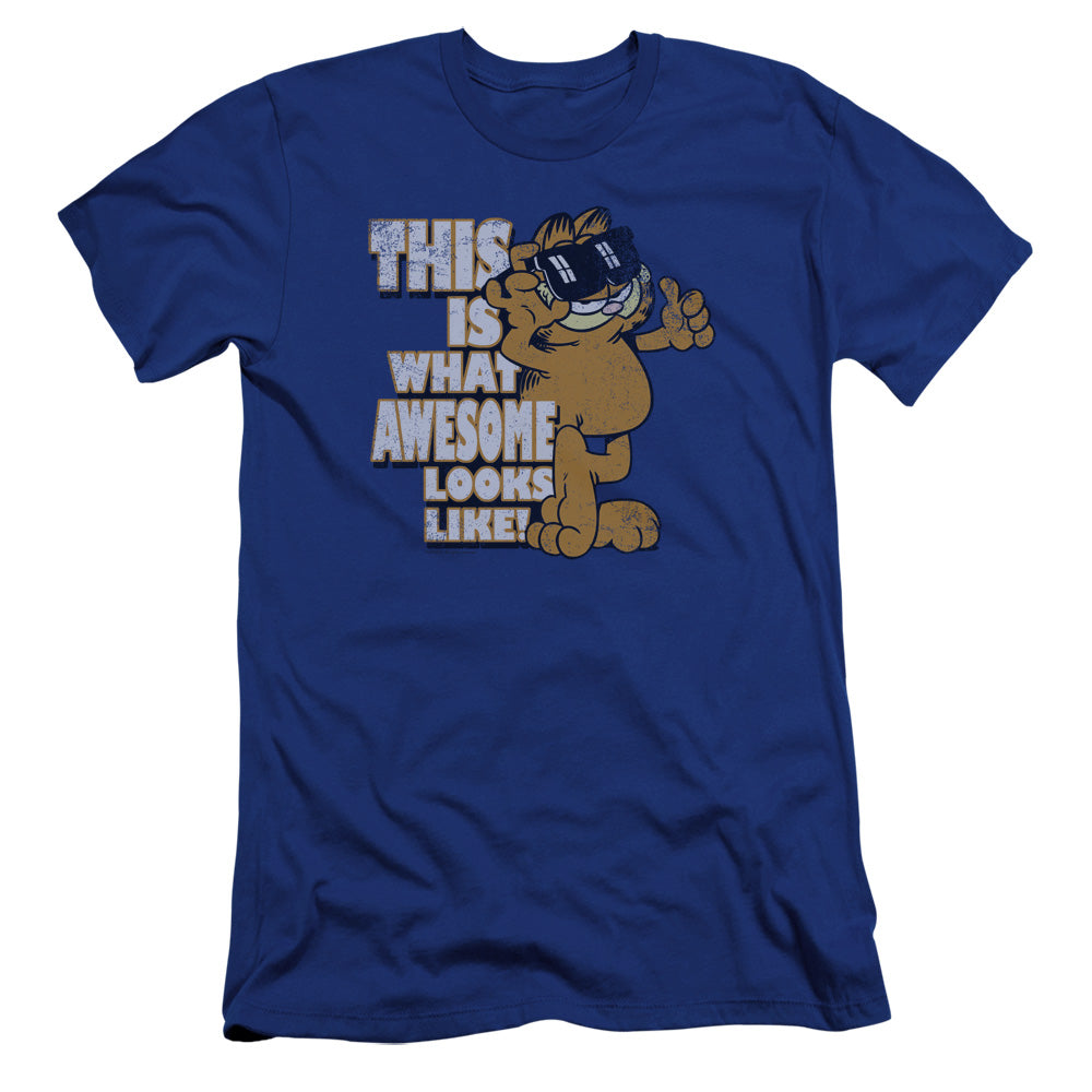 GARFIELD/AWESOME