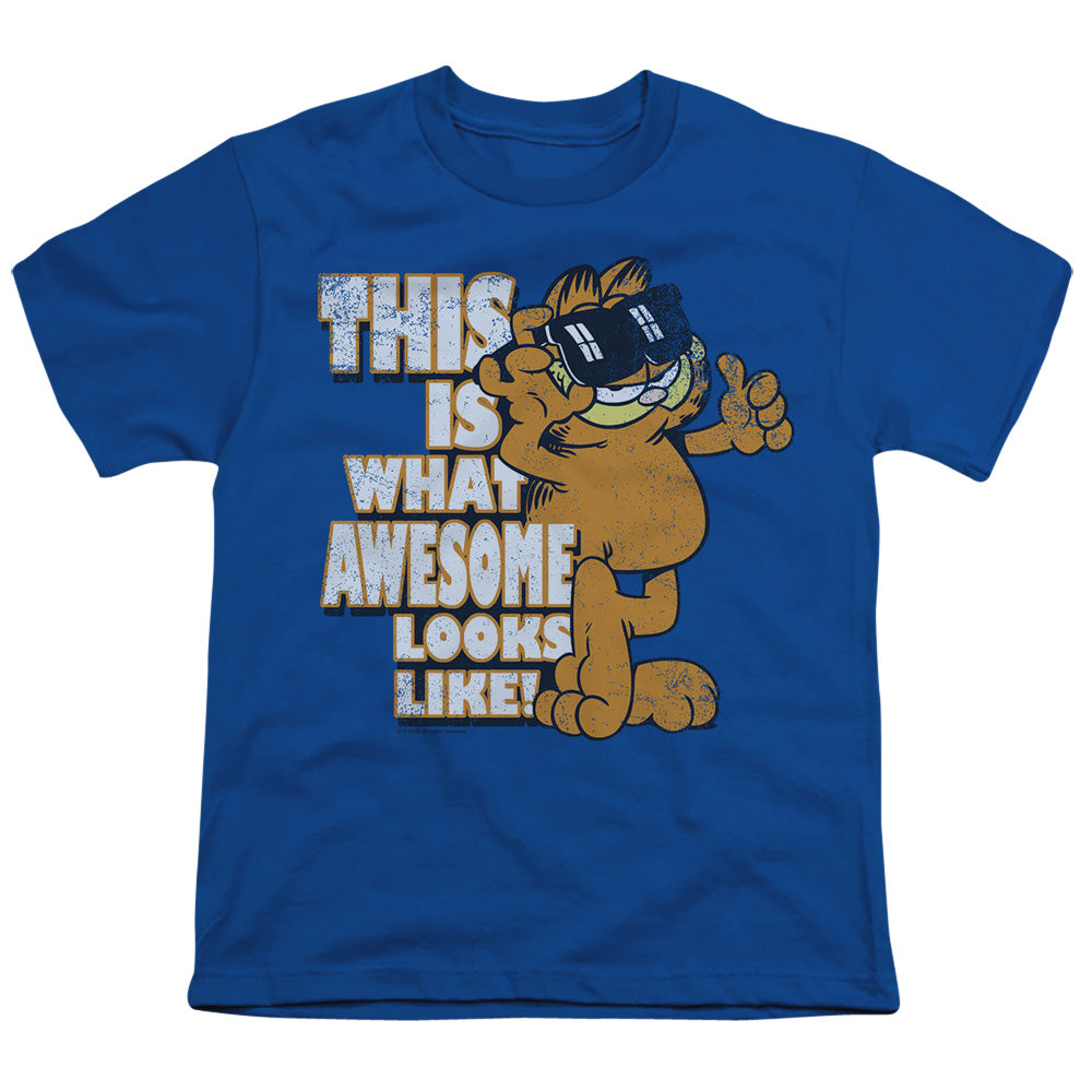 GARFIELD/AWESOME