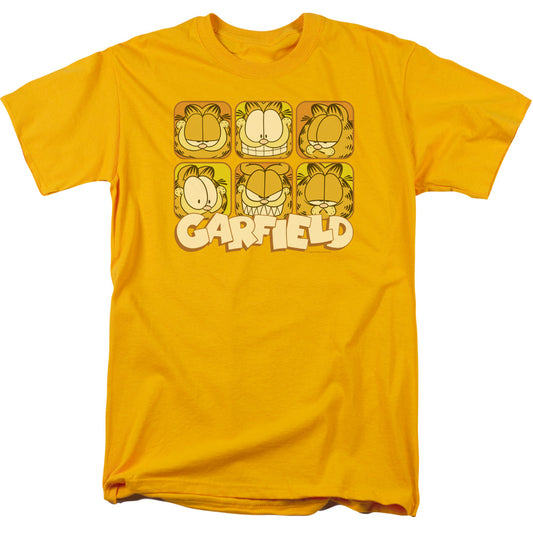 GARFIELD/MANY FACES
