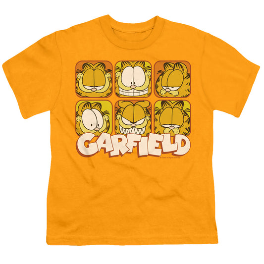 GARFIELD/MANY FACES
