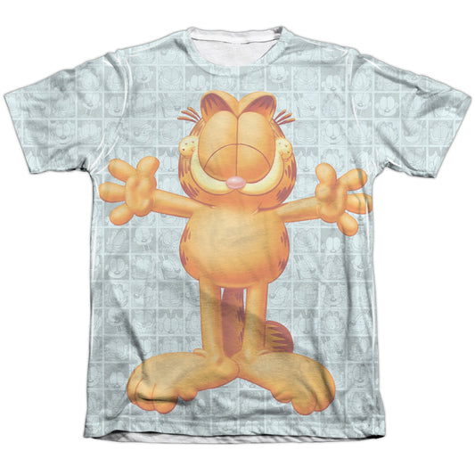 GARFIELD/FREE HUGS