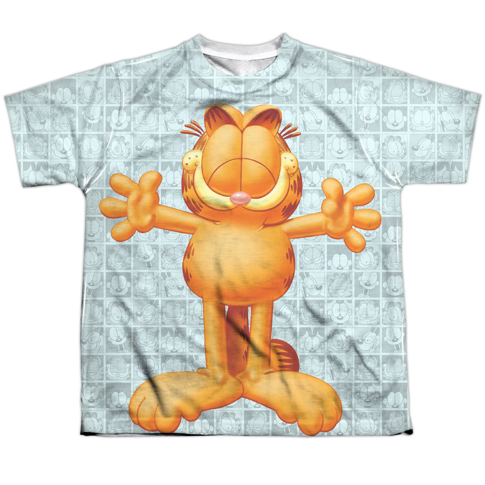 GARFIELD/FREE HUGS