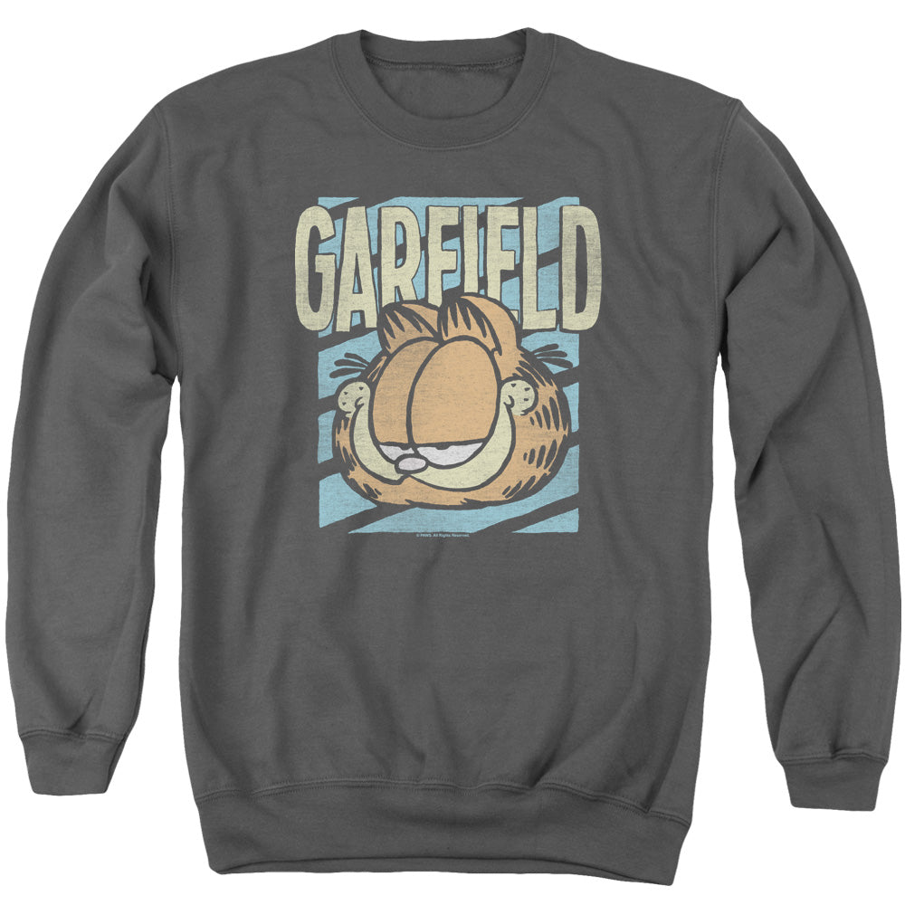 GARFIELD/RAD GARFIELD