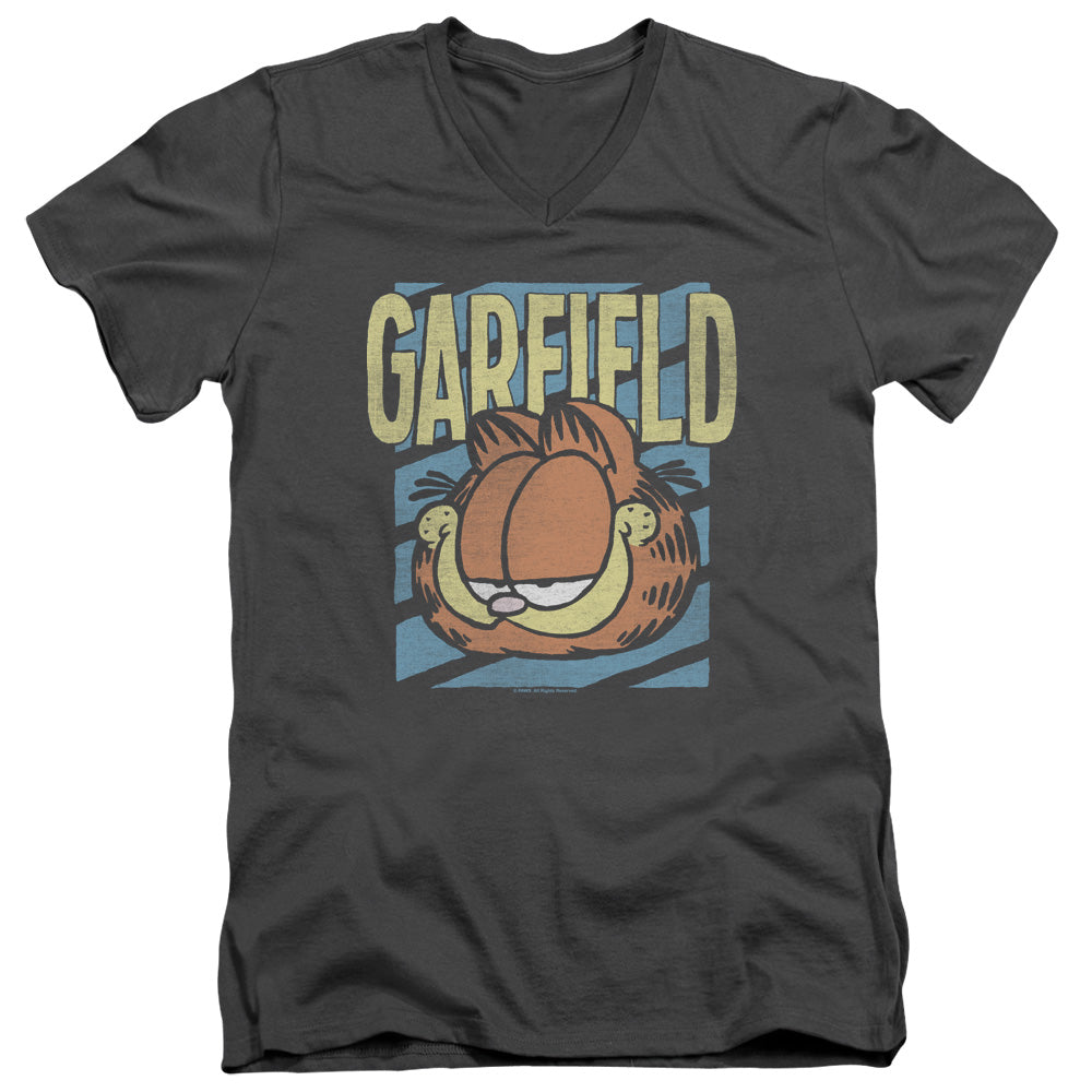 GARFIELD/RAD GARFIELD