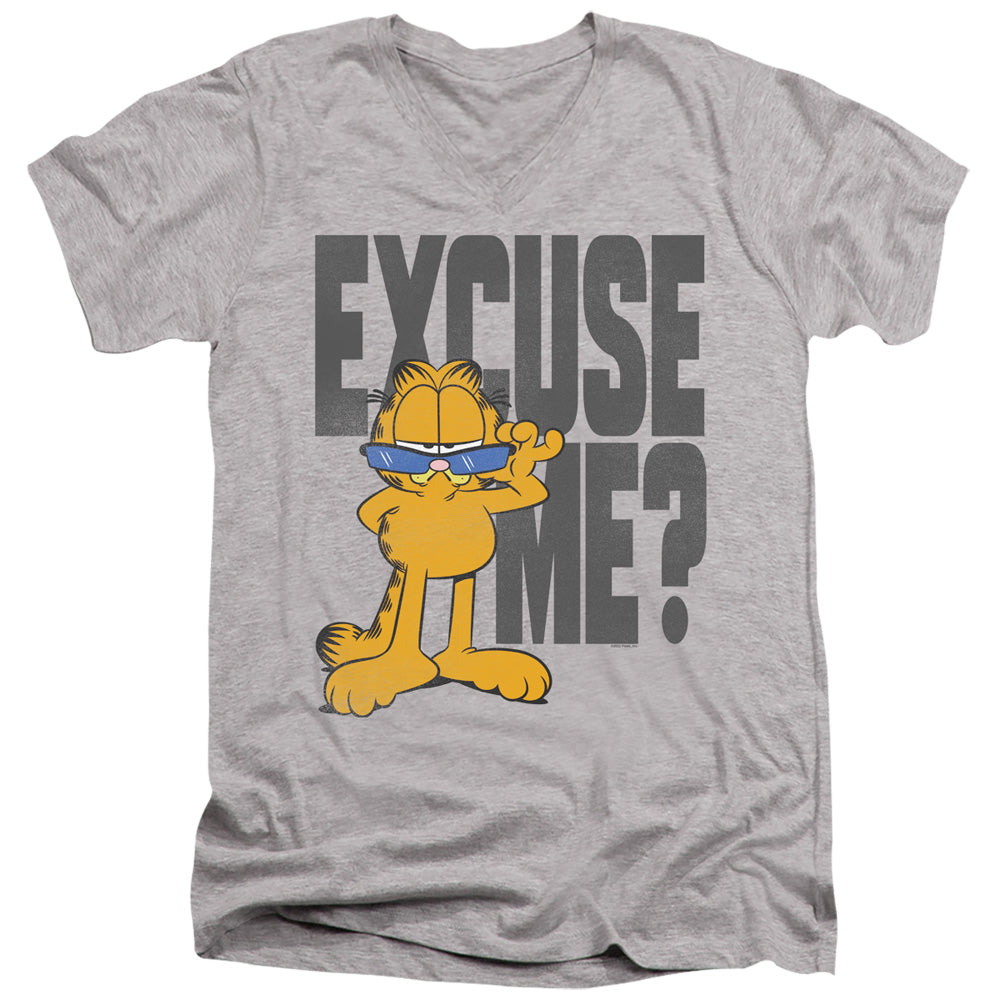GARFIELD/EXCUSE ME?