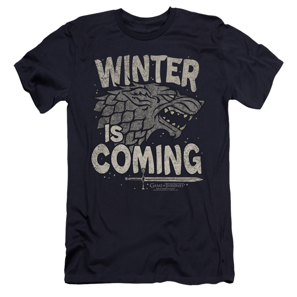 GAME OF THRONES/WINTER IS COMING