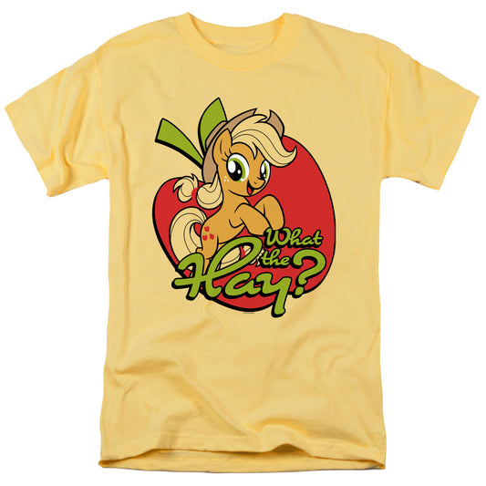MY LITTLE PONY TV/WHAT THE HAY