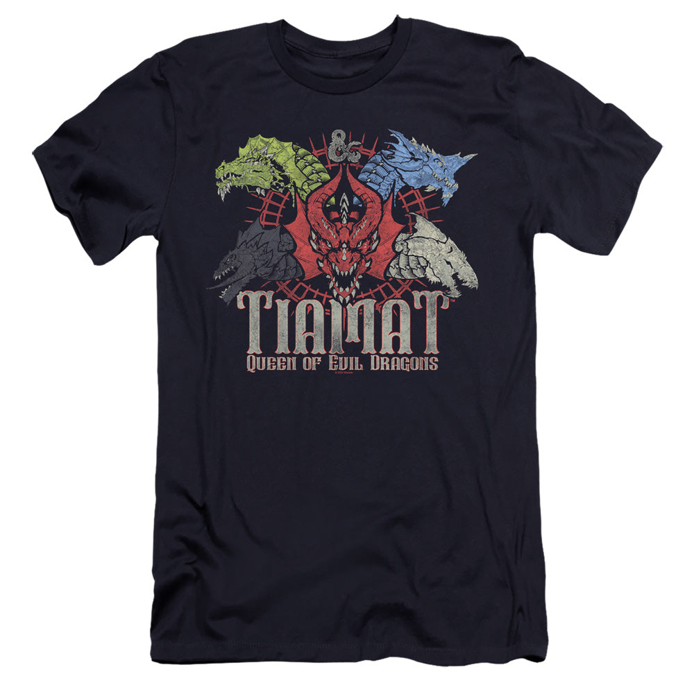 DUNGEONS AND DRAGONS/TIAMAT QUEEN OF EVIL