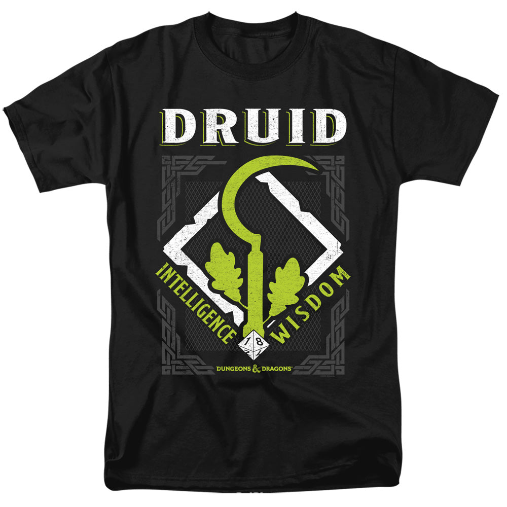 DUNGEONS AND DRAGONS/DRUID