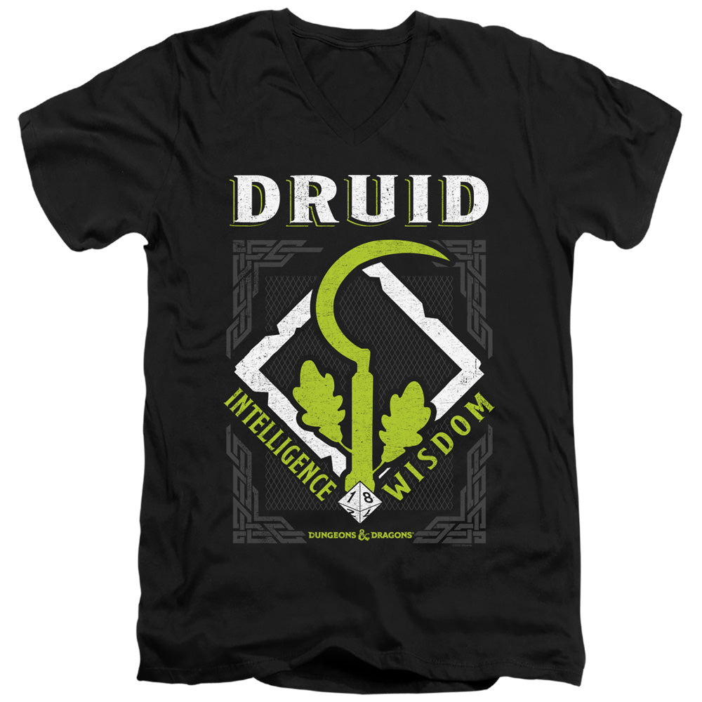 DUNGEONS AND DRAGONS/DRUID