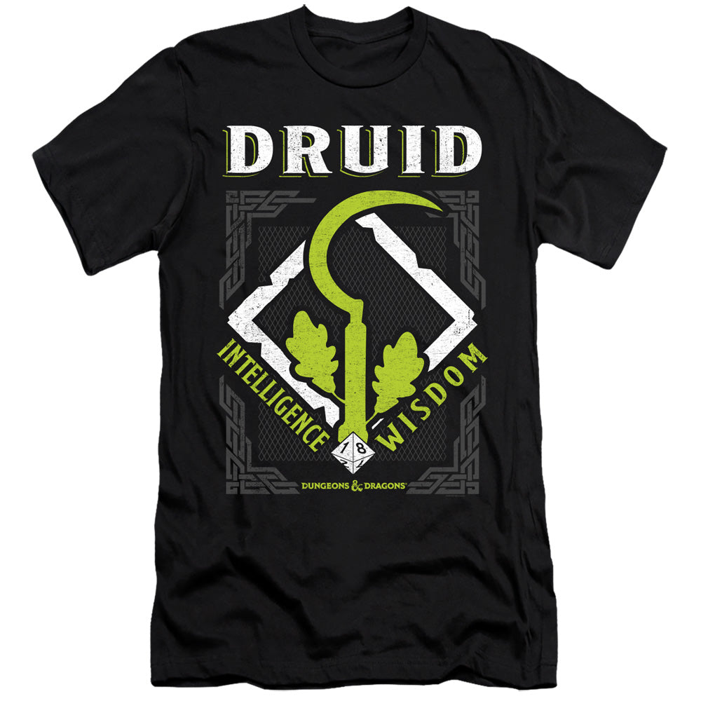 DUNGEONS AND DRAGONS/DRUID