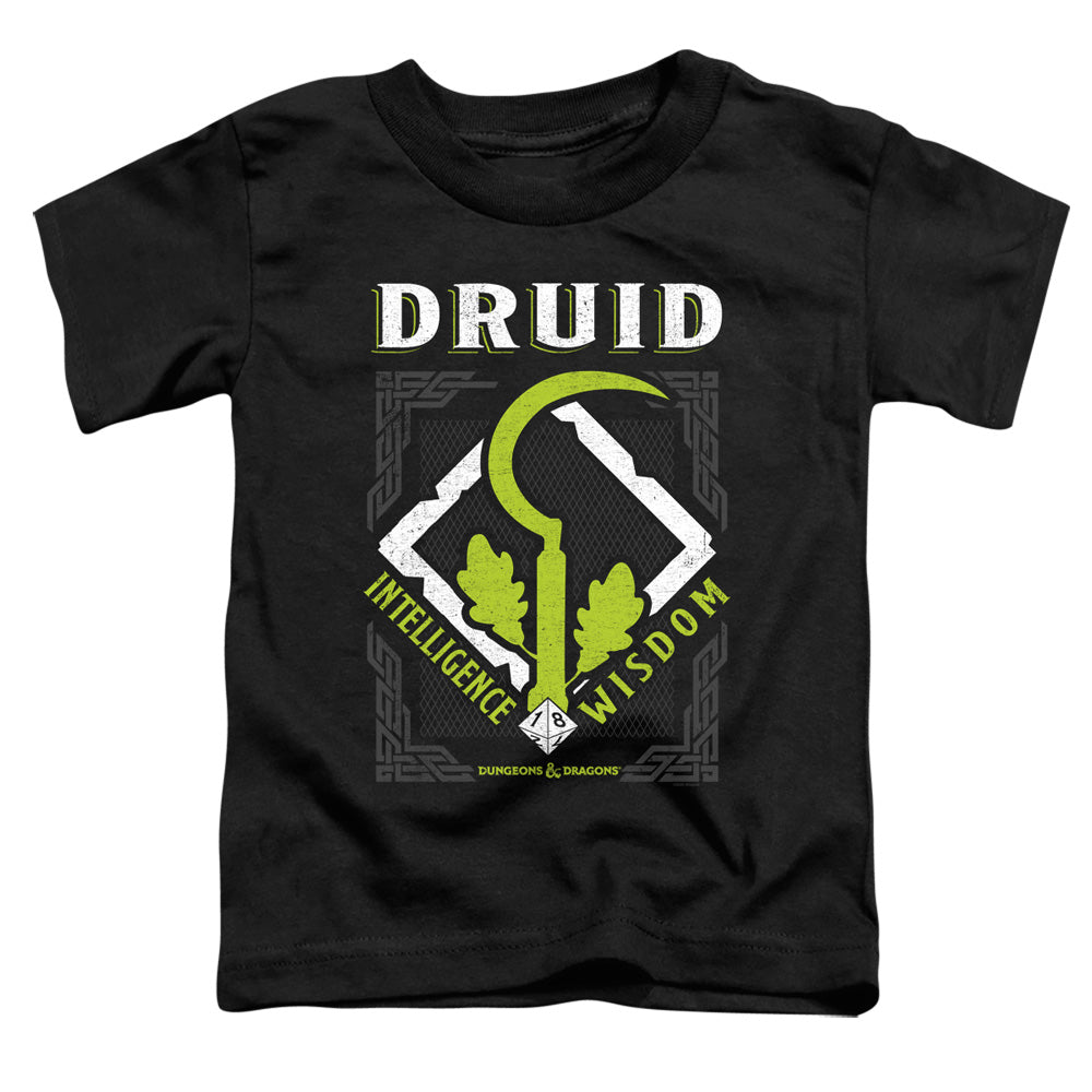DUNGEONS AND DRAGONS/DRUID