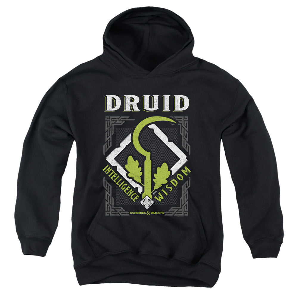 DUNGEONS AND DRAGONS/DRUID