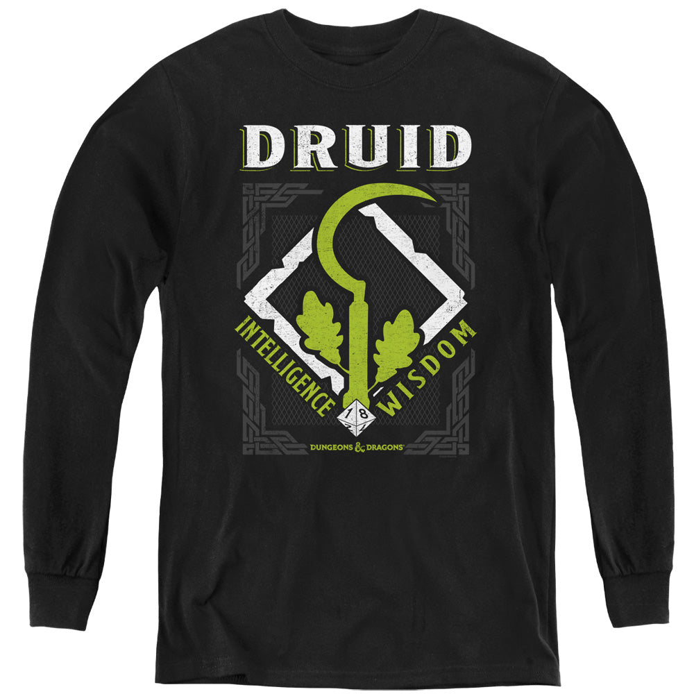 DUNGEONS AND DRAGONS/DRUID