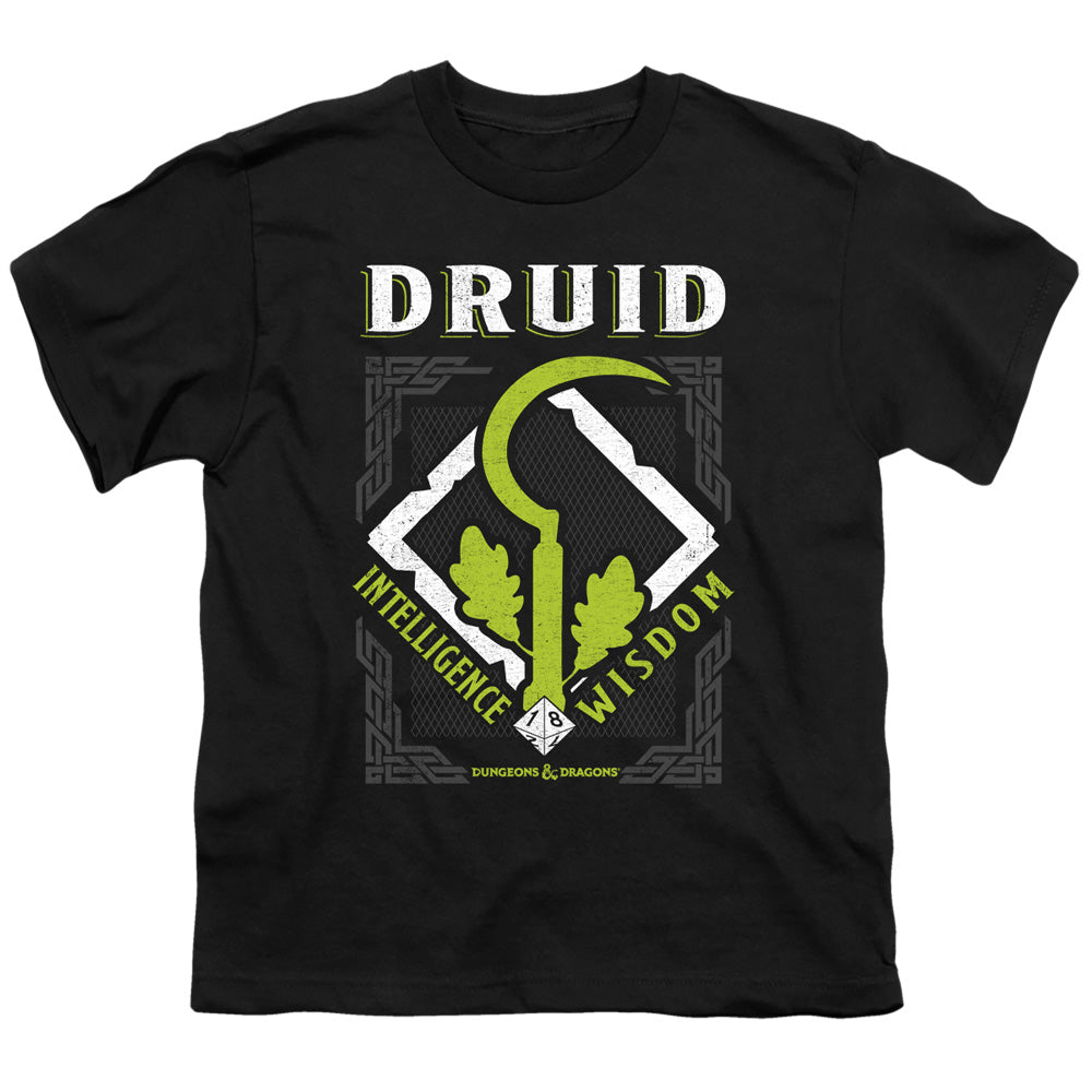 DUNGEONS AND DRAGONS/DRUID
