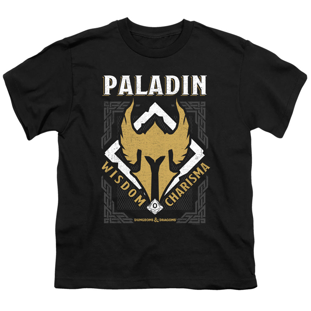 DUNGEONS AND DRAGONS/PALADIN