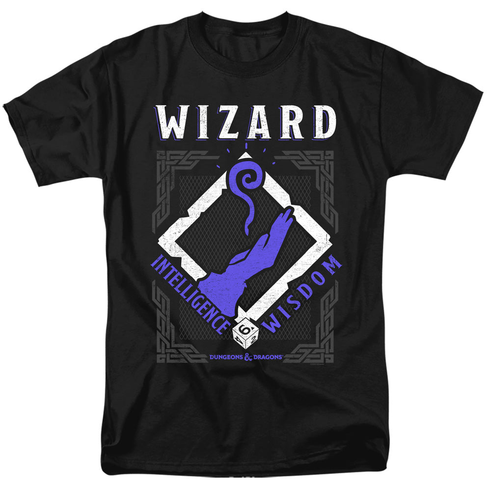 DUNGEONS AND DRAGONS/WIZARD