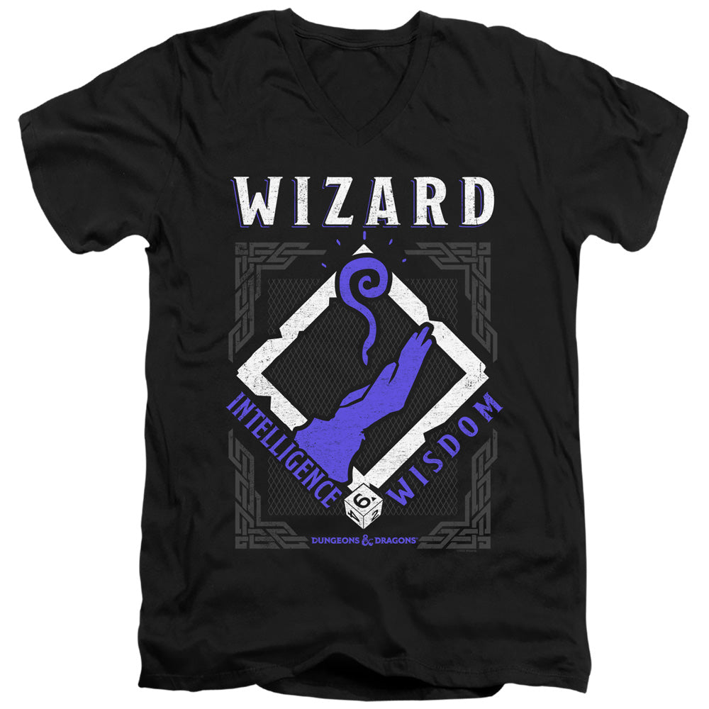 DUNGEONS AND DRAGONS/WIZARD
