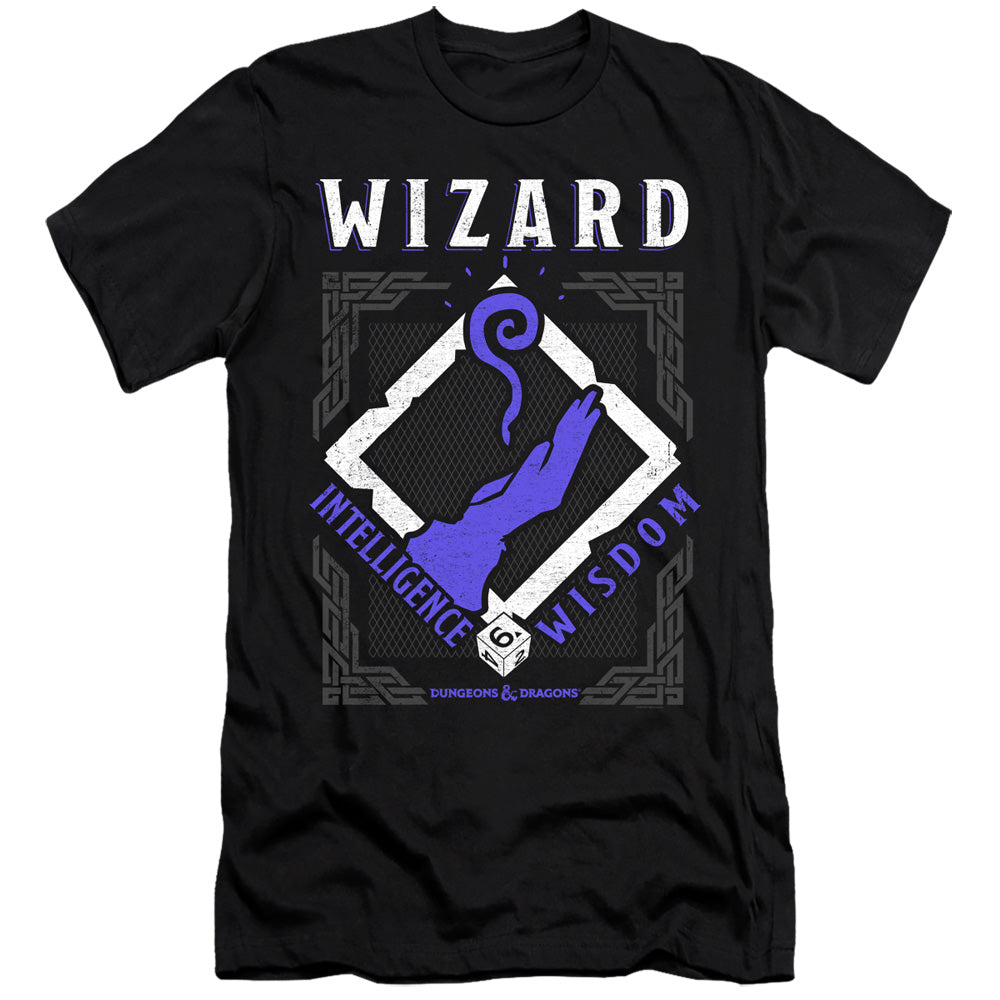 DUNGEONS AND DRAGONS/WIZARD