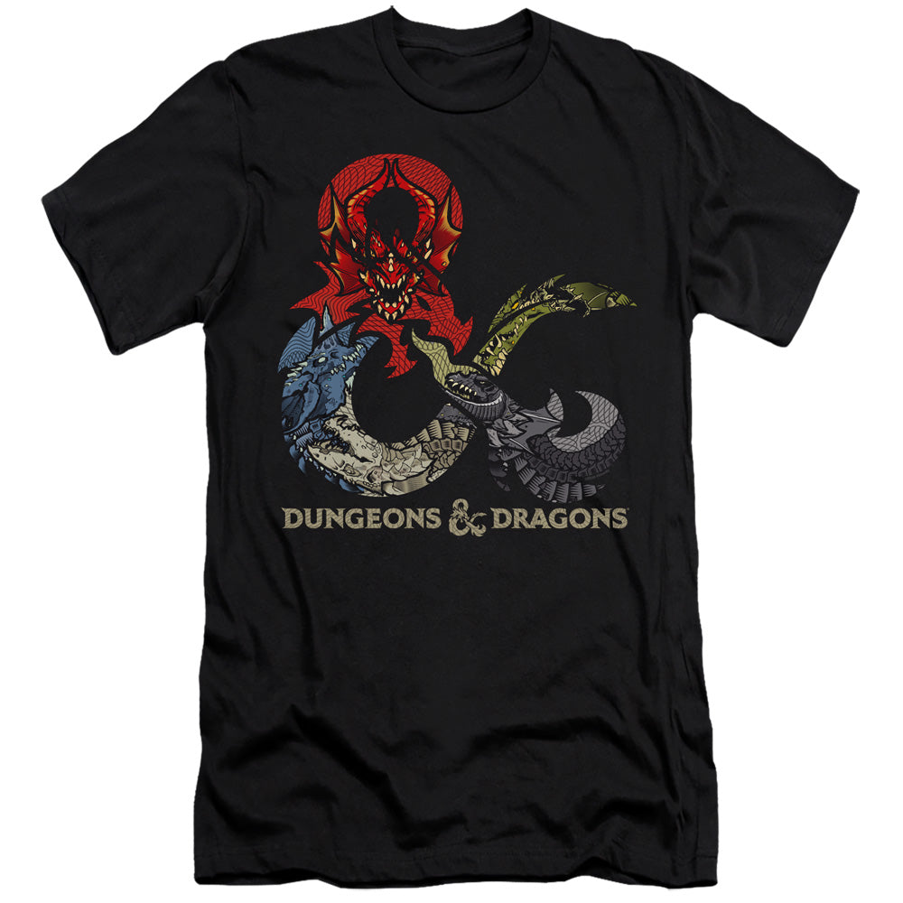 DUNGEONS AND DRAGONS/DRAGONS IN DRAGONS