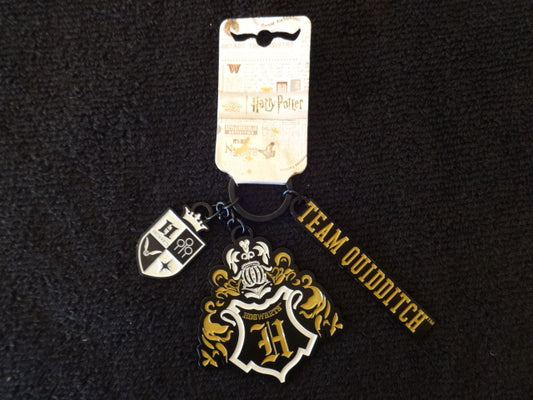 Harry Potter Hogwarts Team Quidditch Keychain
