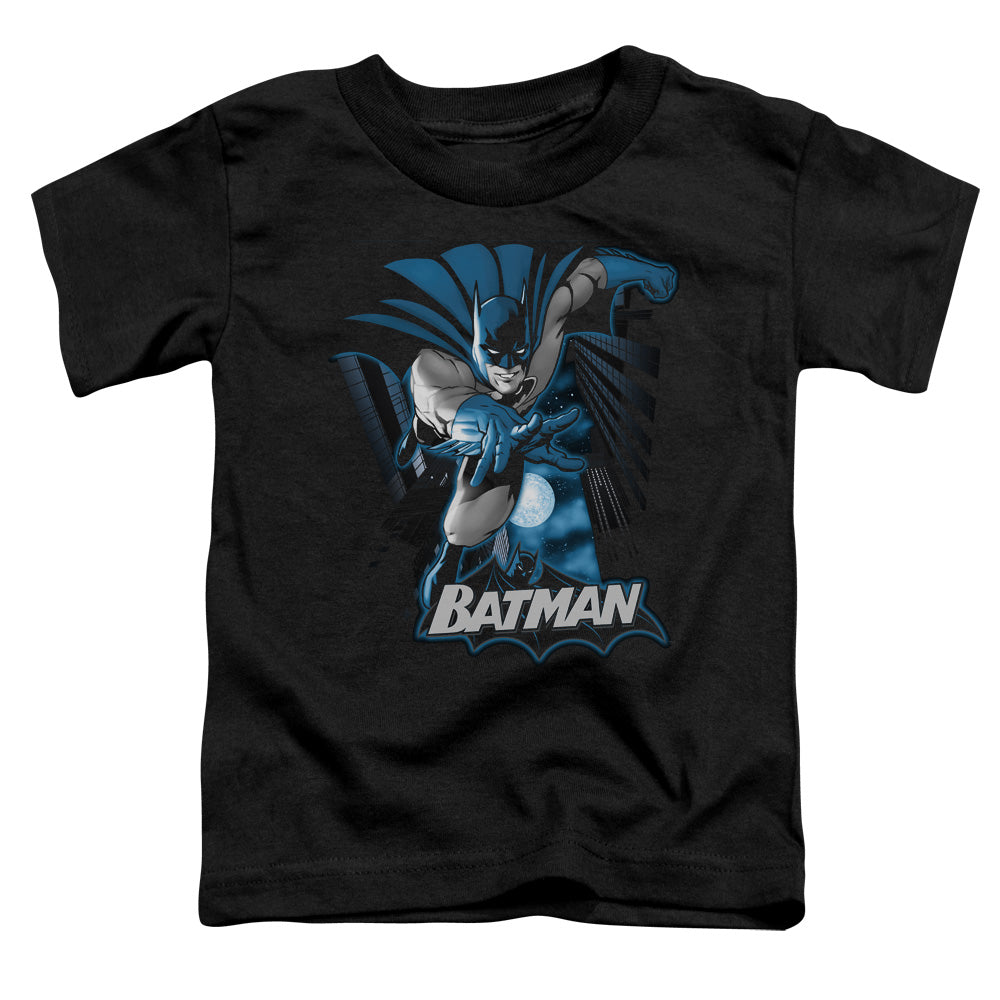 JLA/BATMAN BLUE & GRAY