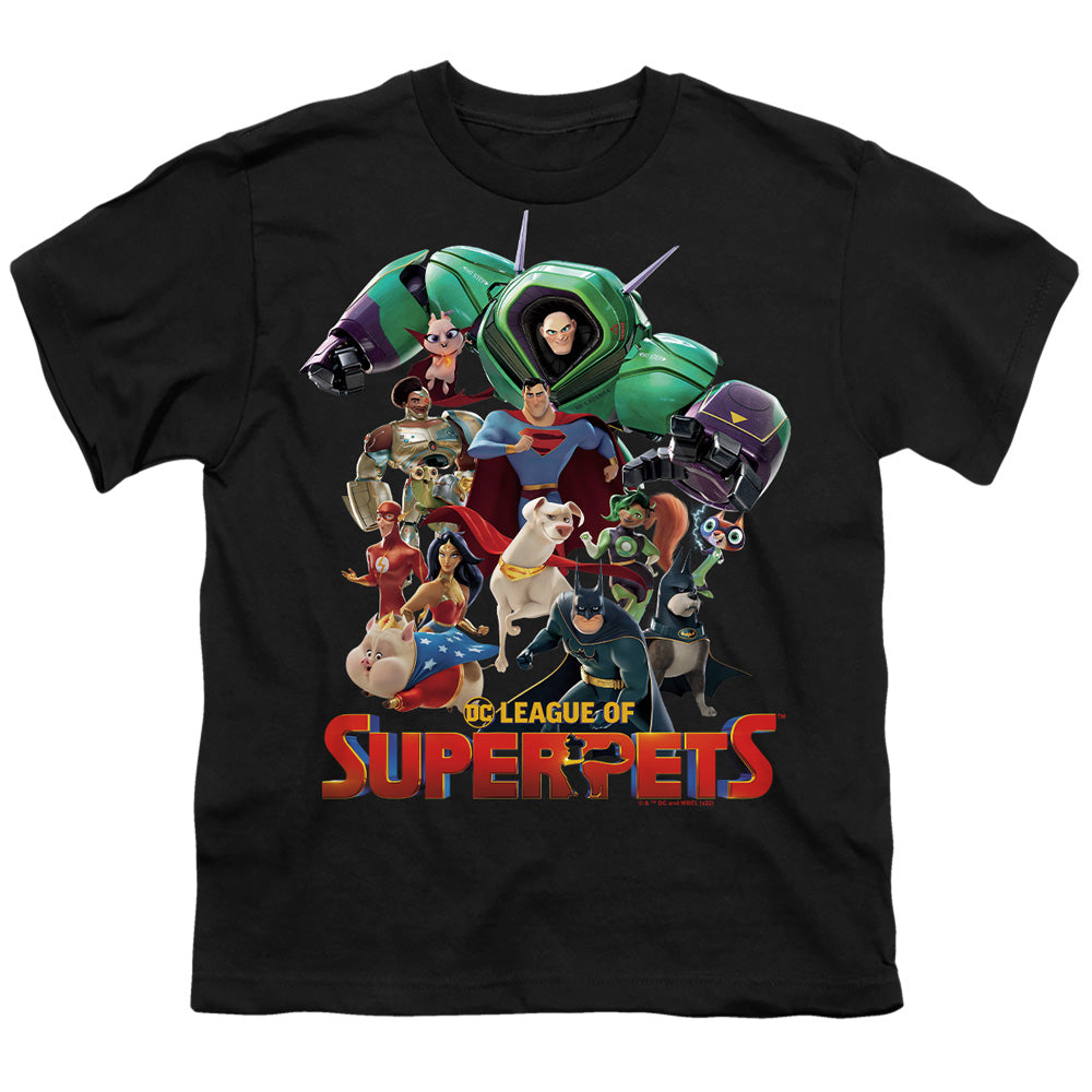 DC LEAGUE OF SUPER PETS/SUPER PET PILE