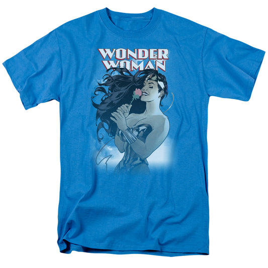 DCO JLA/WW #178 COVER