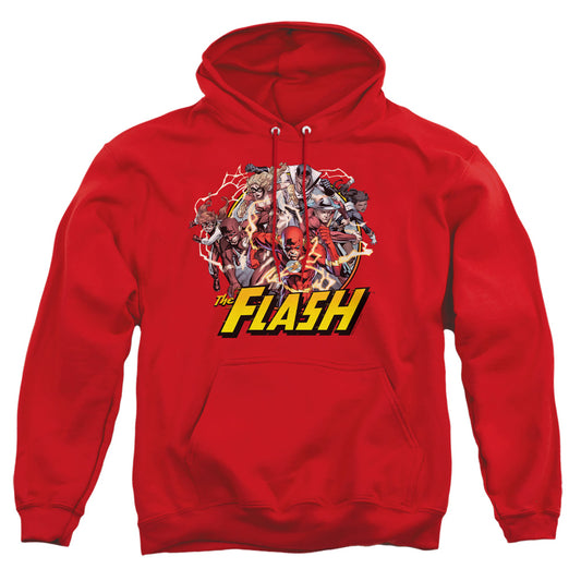 JLA/FLASH FAMILY