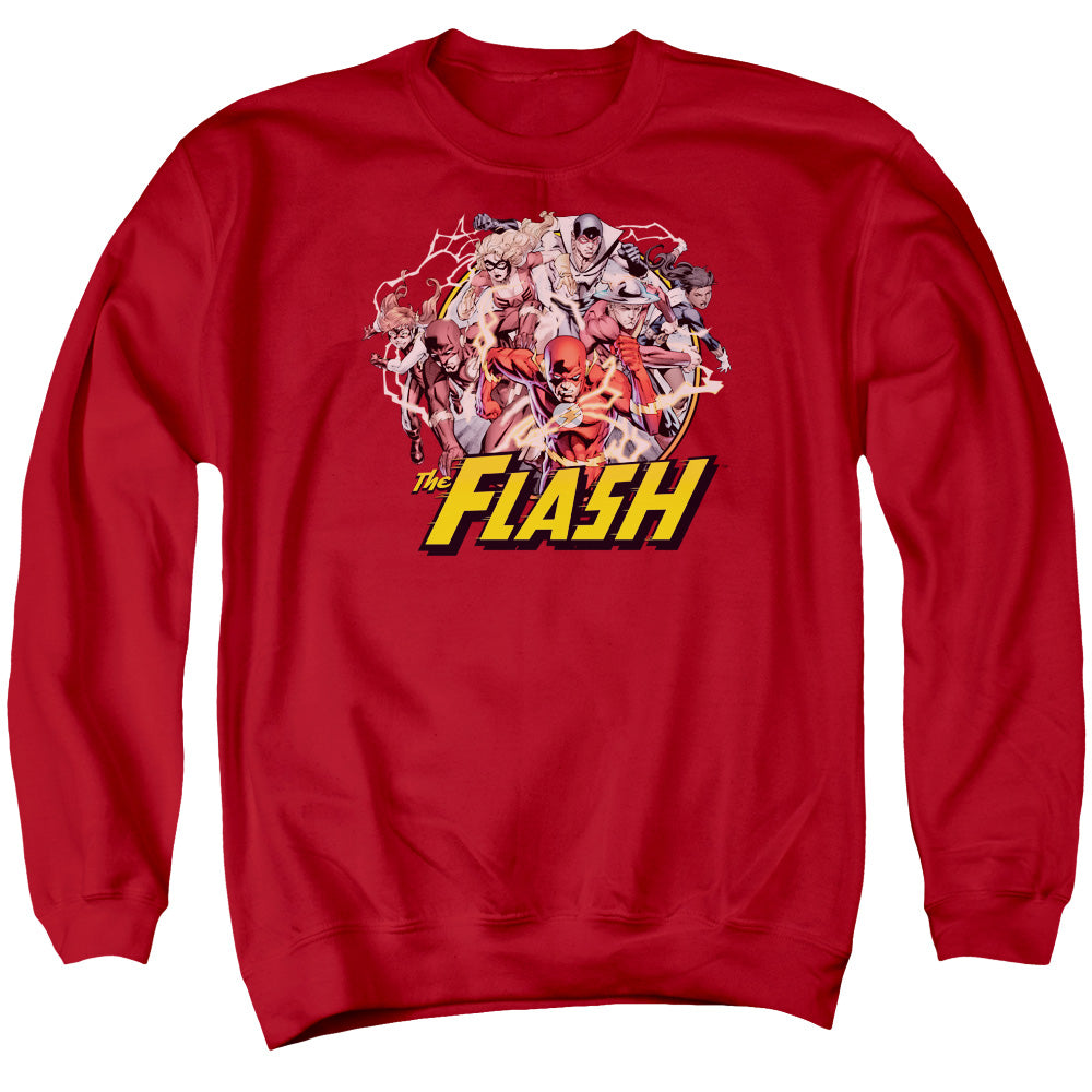 JLA/FLASH FAMILY