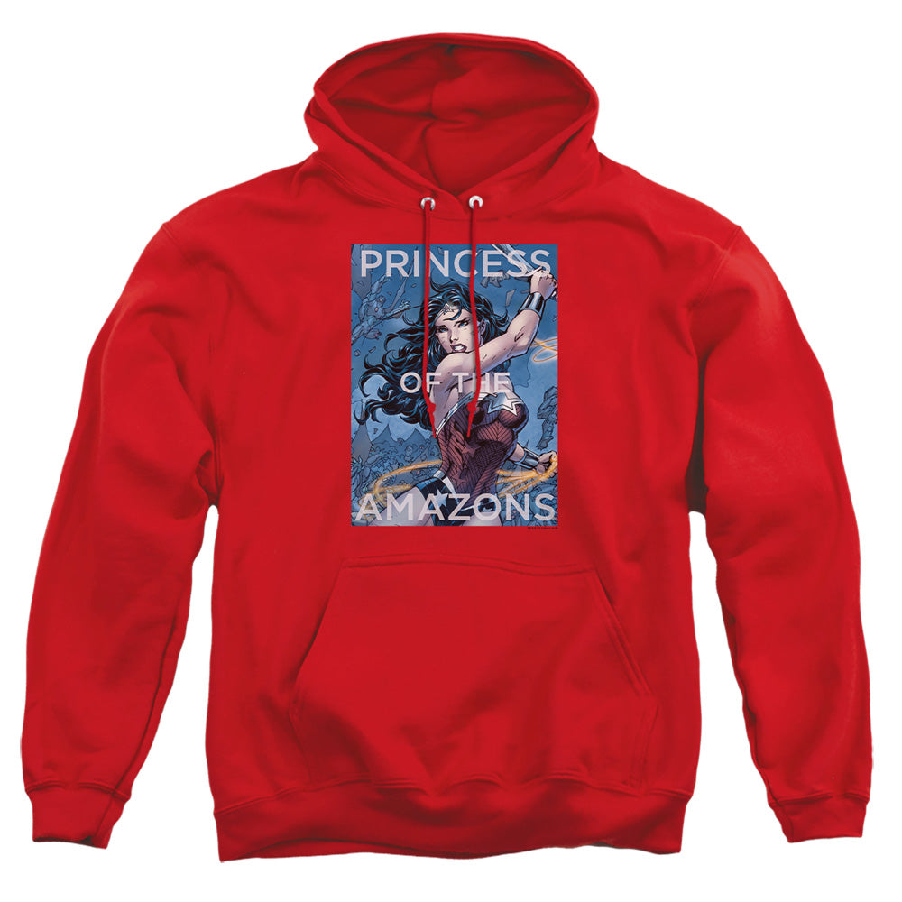 JLA/PRINCESS OF THE AMAZONS