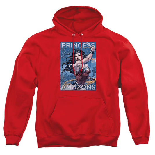 JLA/PRINCESS OF THE AMAZONS