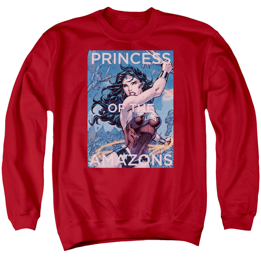 JLA/PRINCESS OF THE AMAZONS