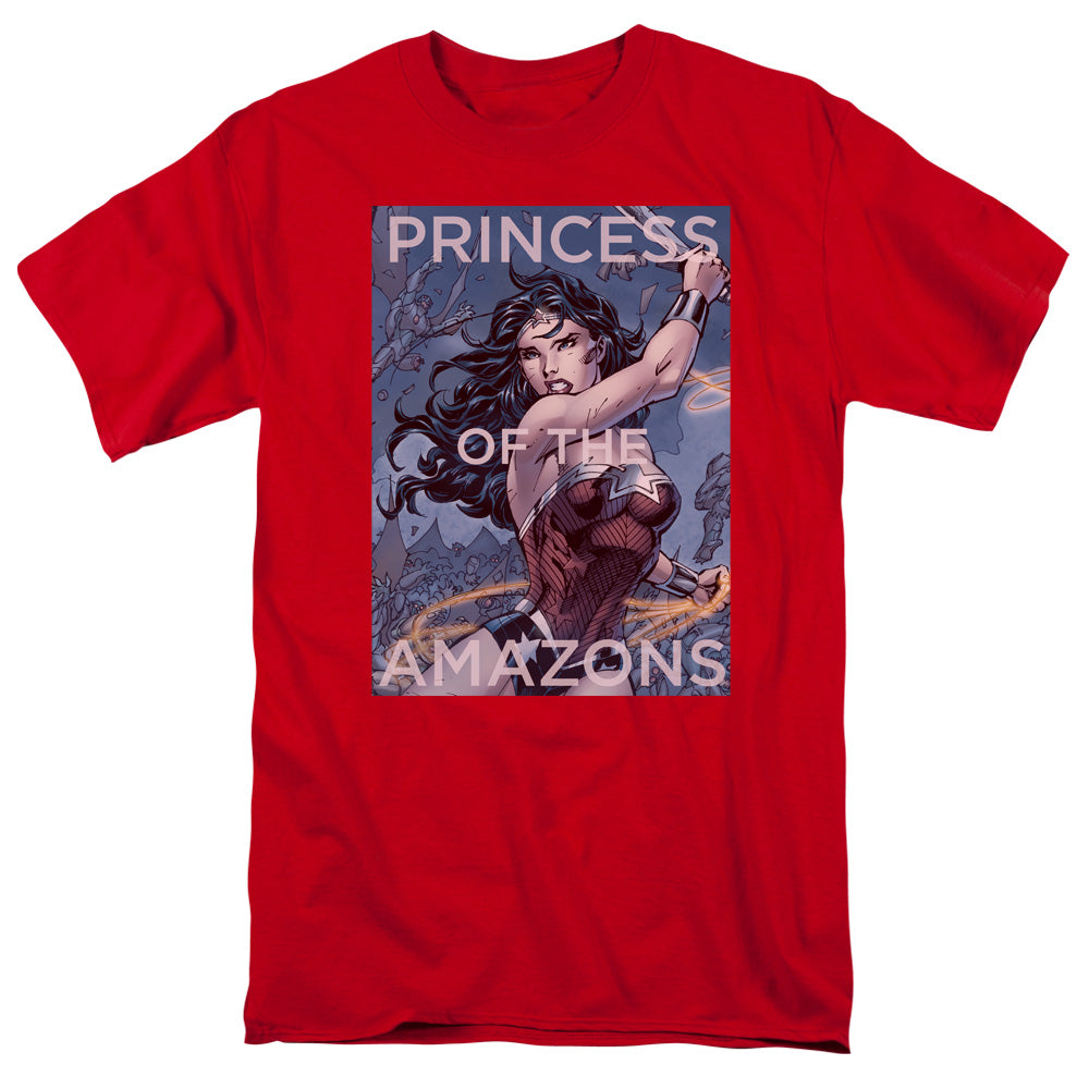 JLA/PRINCESS OF THE AMAZONS
