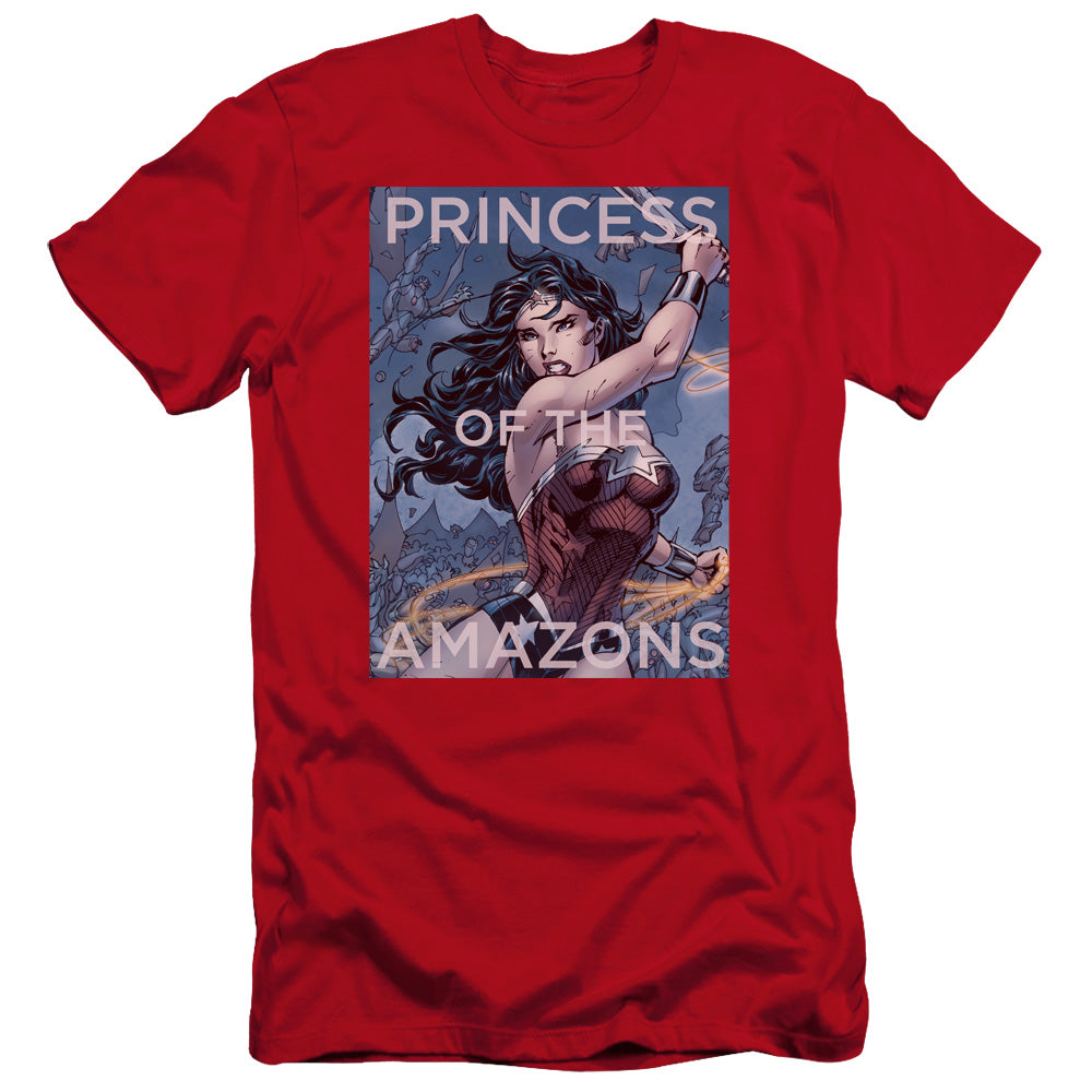 JLA/PRINCESS OF THE AMAZONS