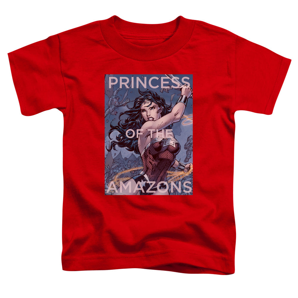 JLA/PRINCESS OF THE AMAZONS