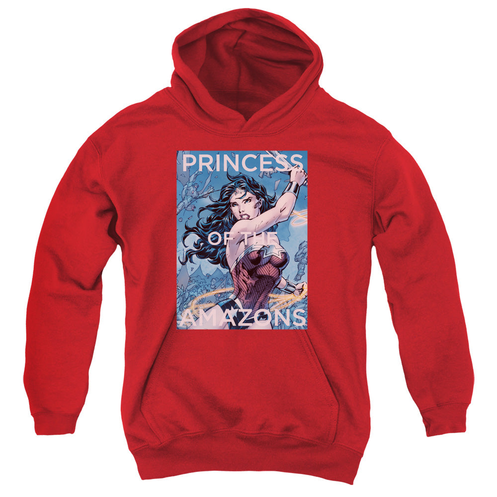 JLA/PRINCESS OF THE AMAZONS