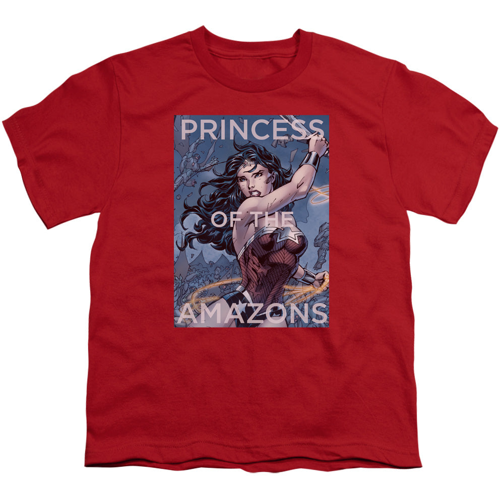 JLA/PRINCESS OF THE AMAZONS