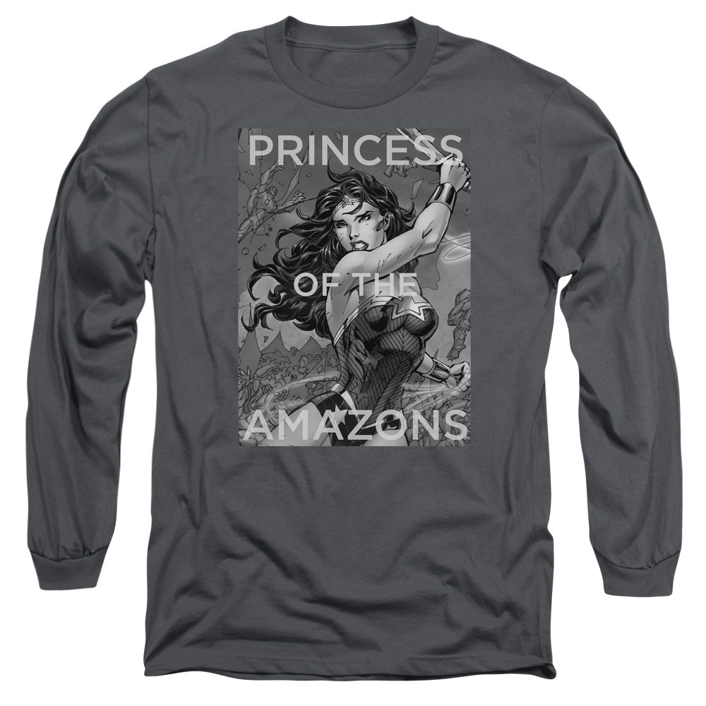 JLA/PRINCESS OF THE AMAZONS