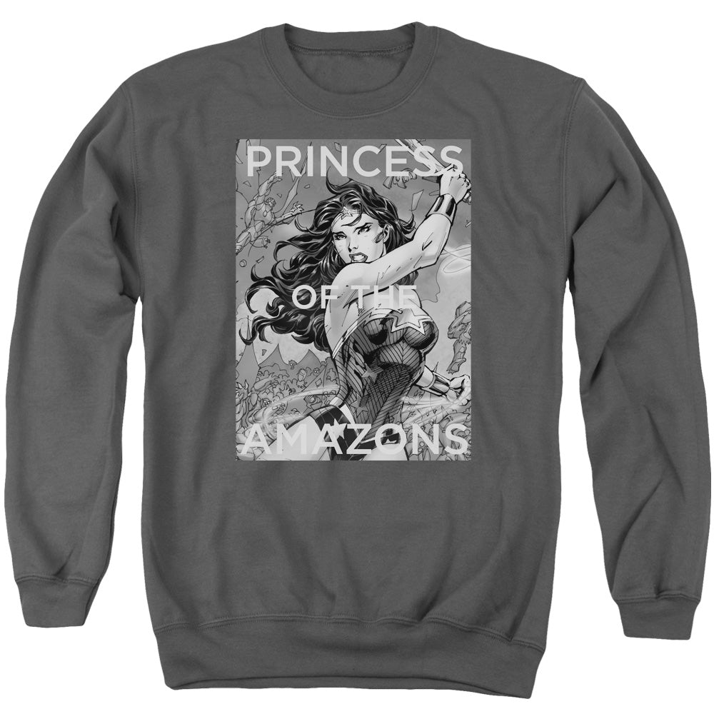JLA/PRINCESS OF THE AMAZONS