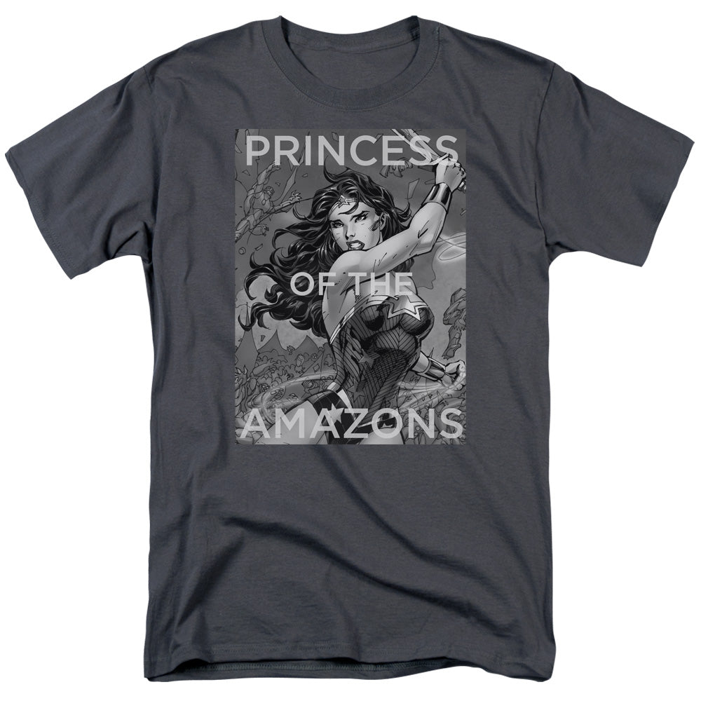 JLA/PRINCESS OF THE AMAZONS
