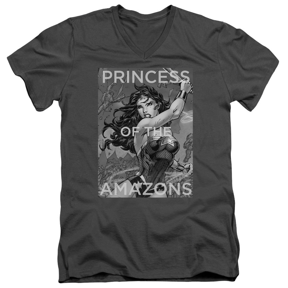 JLA/PRINCESS OF THE AMAZONS
