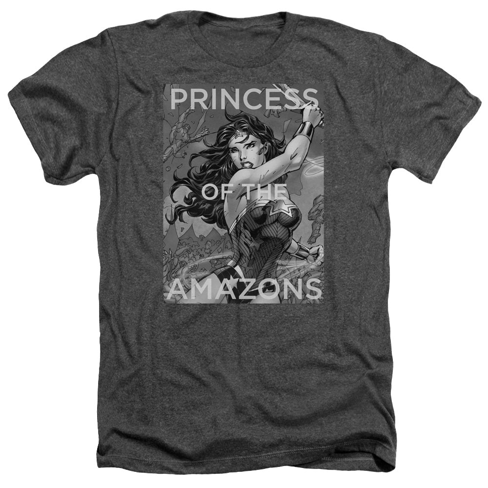 JLA/PRINCESS OF THE AMAZONS